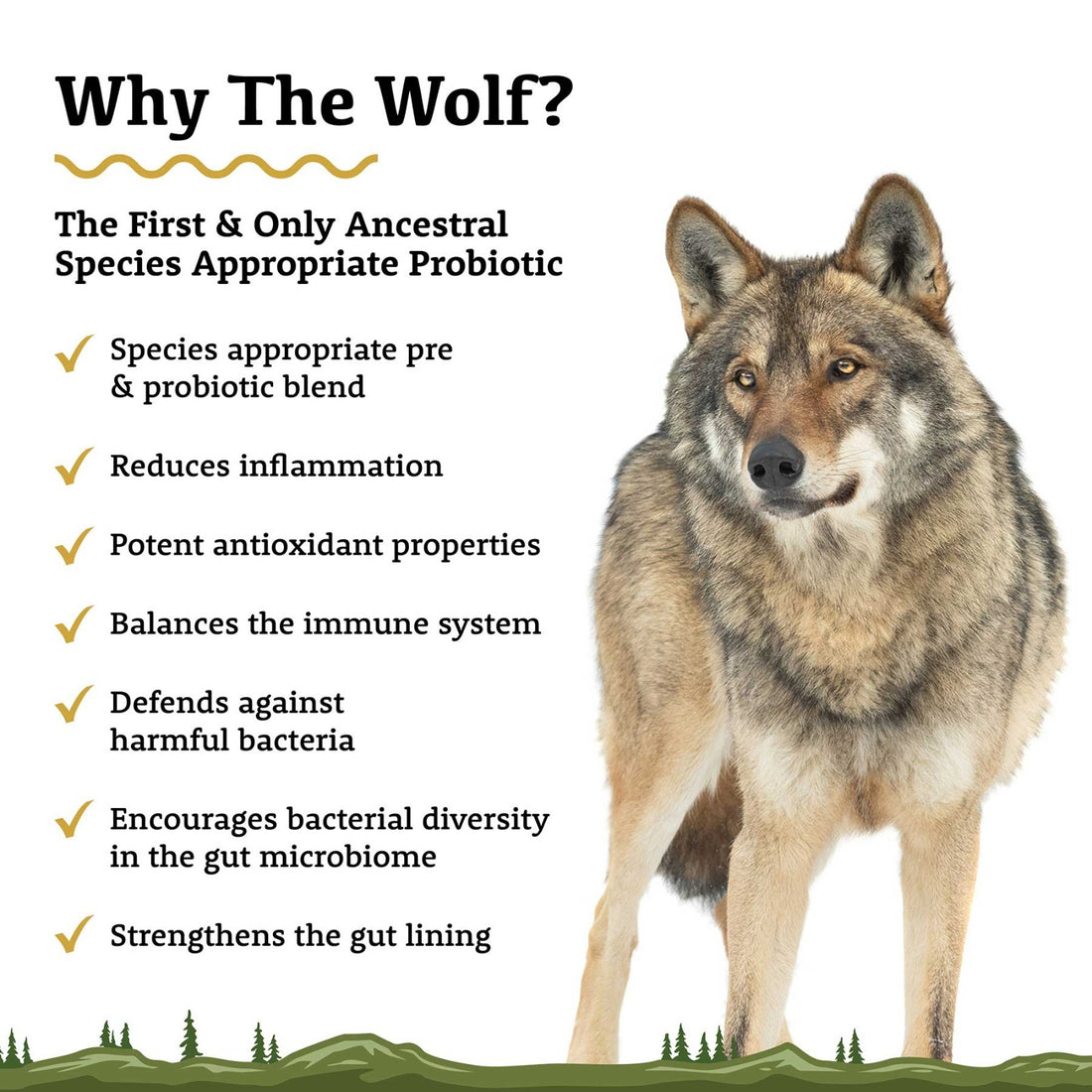 The Wolf | Species Appropriate Probiotic - Raw Dog Food Complete
