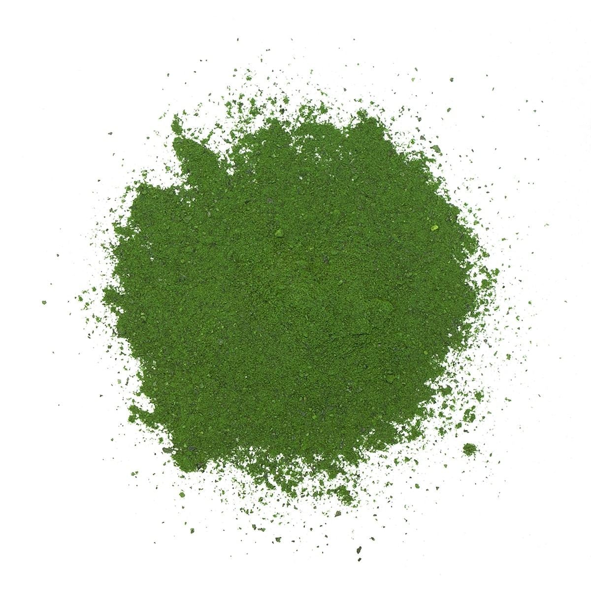 Phyto Synergy | Phytoplankton | 15g or 32g - Raw Dog Food Complete