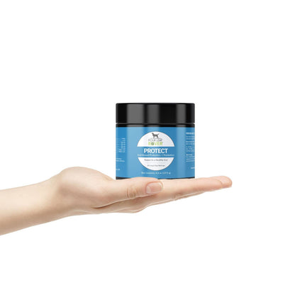 Protect | Soil Based Pre and Probiotic - Raw Dog Food Complete